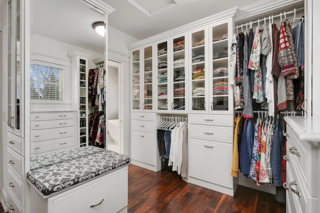 walk in closet featuring dark wood-style floors