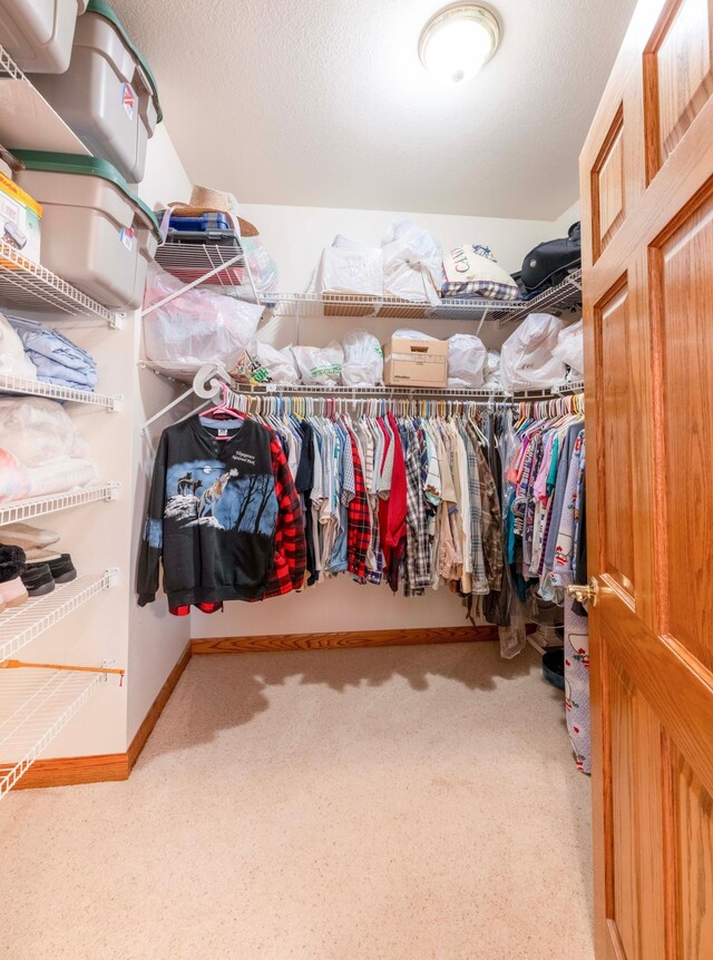 view of spacious closet