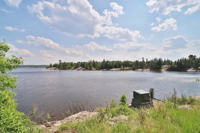 10124 Timberwolf Trl, Kabetogama, MN 56669 - photo 2