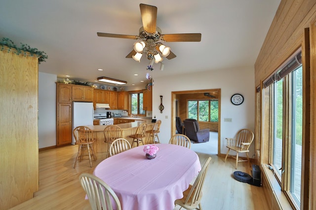 10124 Timberwolf Trl, Kabetogama, MN 56669 - photo 8