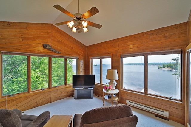 10124 Timberwolf Trl, Kabetogama, MN 56669 - photo 9