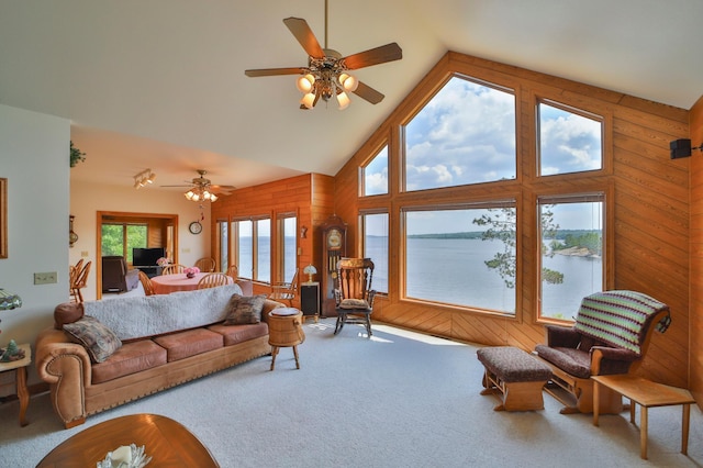 10124 Timberwolf Trl, Kabetogama, MN 56669 - photo 15