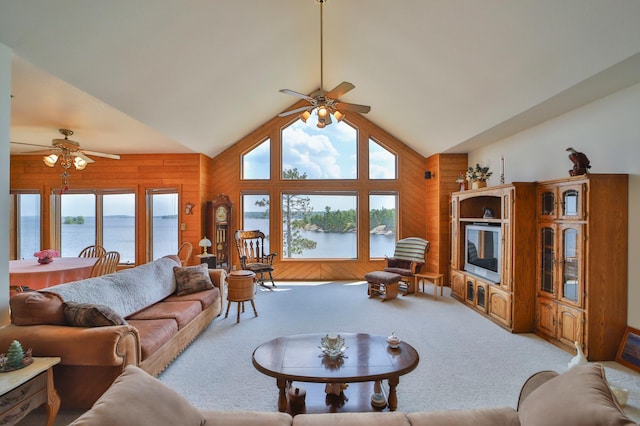 10124 Timberwolf Trl, Kabetogama, MN 56669 - photo 16