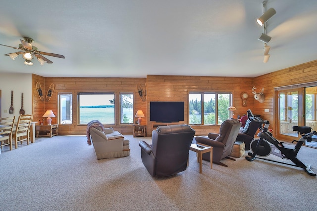 10124 Timberwolf Trl, Kabetogama, MN 56669 - photo 43