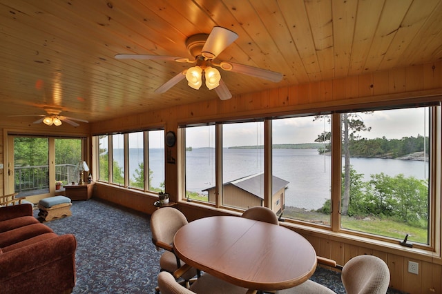 10124 Timberwolf Trl, Kabetogama, MN 56669 - photo 51