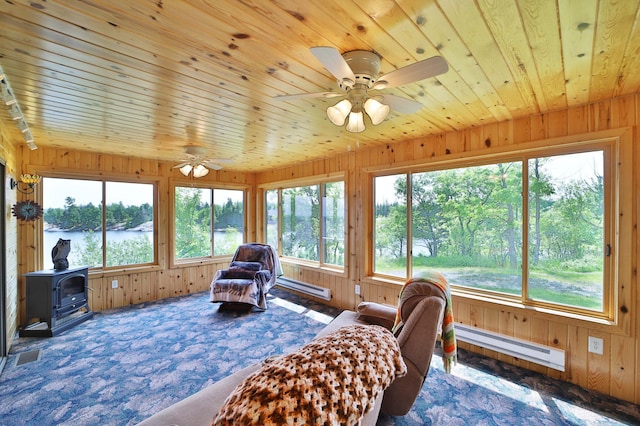 10124 Timberwolf Trl, Kabetogama, MN 56669 - photo 58