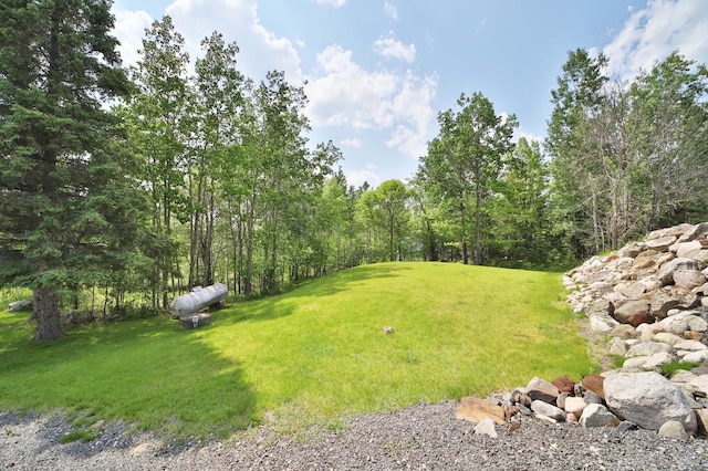 10124 Timberwolf Trl, Kabetogama, MN 56669 - photo 76