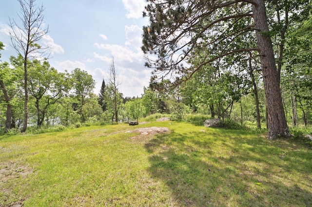 10124 Timberwolf Trl, Kabetogama, MN 56669 - photo 77