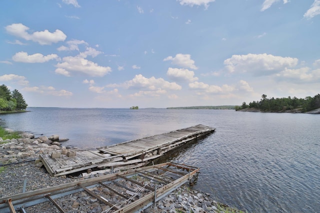 10124 Timberwolf Trl, Kabetogama, MN 56669 - photo 85