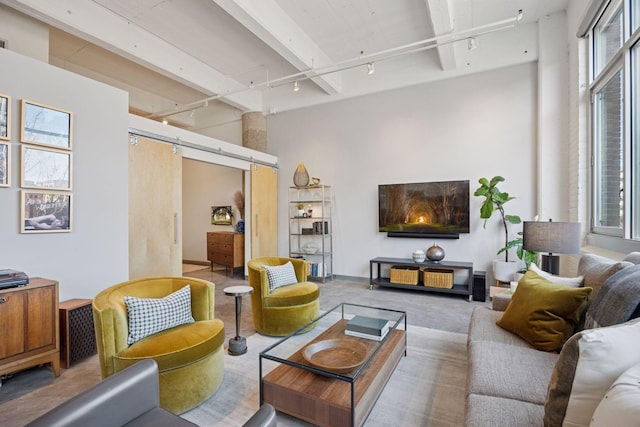 living room with concrete flooring, track lighting, and a barn door