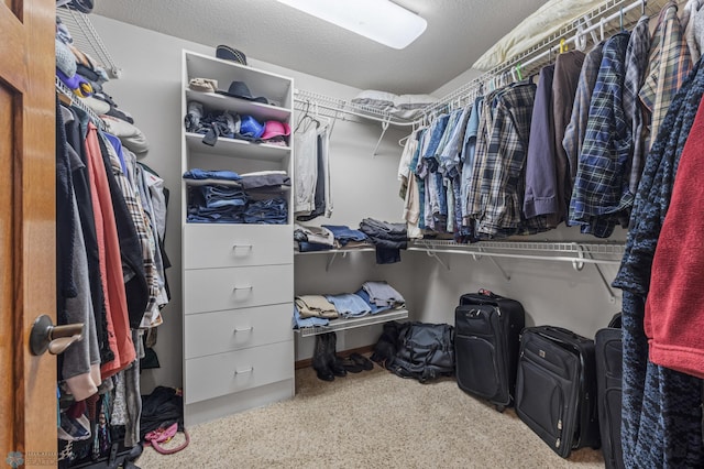 view of walk in closet