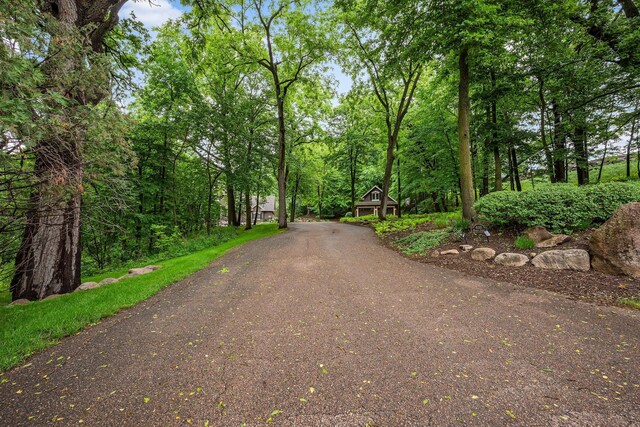 6155 Murray Ct, Shorewood, MN 55331 - view of asphalt driveway