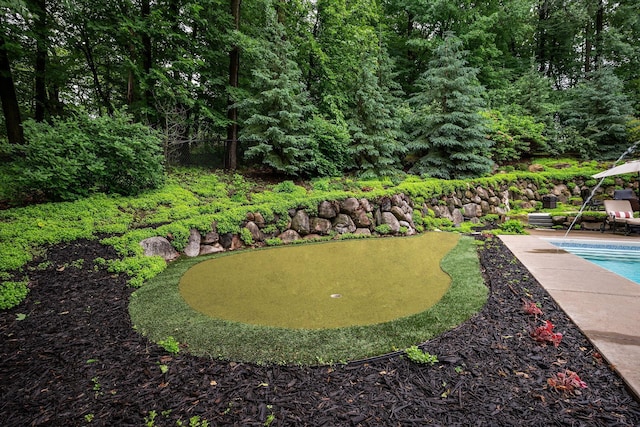 6155 Murray Ct, Shorewood, MN 55331 - view of yard with a putting green, an outdoor pool, and a patio area