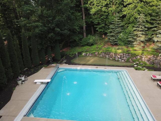 6155 Murray Ct, Shorewood, MN 55331 - swimming pool featuring an area to practice putting and a diving board