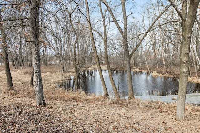 view of water feature