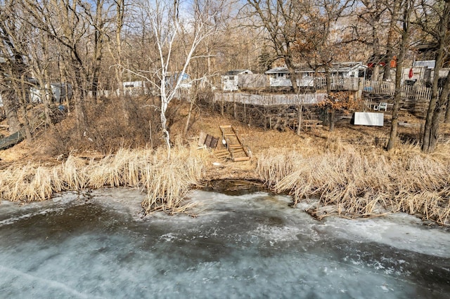 view of local wilderness