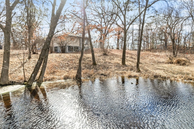 view of water feature