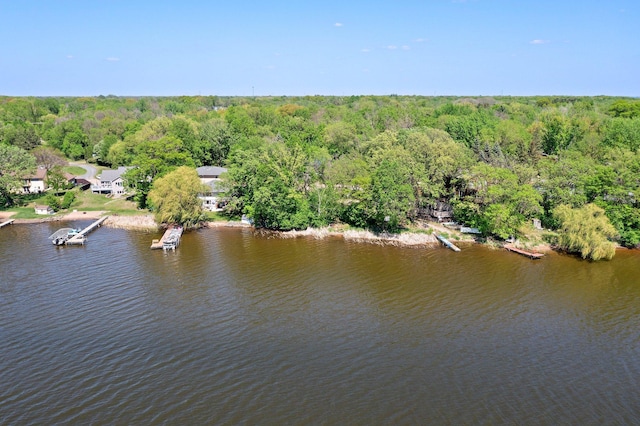 7624 Pioneer Rd, Wyoming, MN 55092 - bird's eye view of a heavily wooded area and a nearby body of water