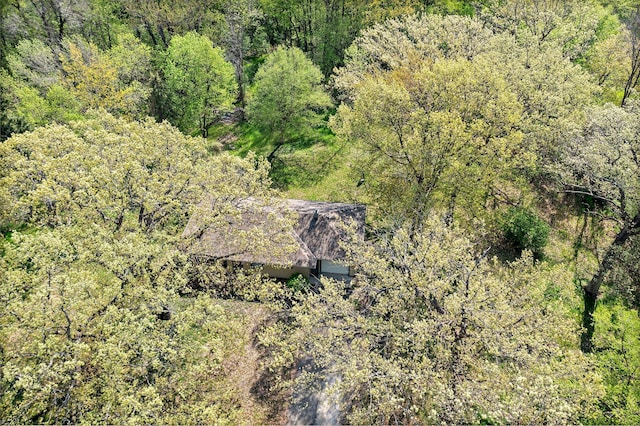 7624 Pioneer Rd, Wyoming, MN 55092 - view from above of property with a forest