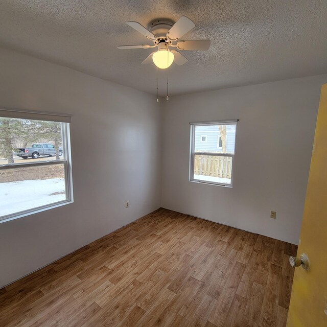 43404 Bills Beach Rd, Edna Twp, MN 56528 - spare room with healthy amount of natural light, a textured ceiling, light wood-type flooring, and ceiling fan