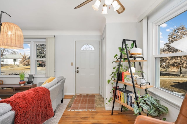 entrance foyer featuring a healthy amount of sunlight, a ceiling fan, and wood finished floors