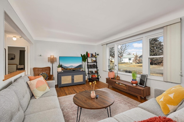 living room with wood finished floors