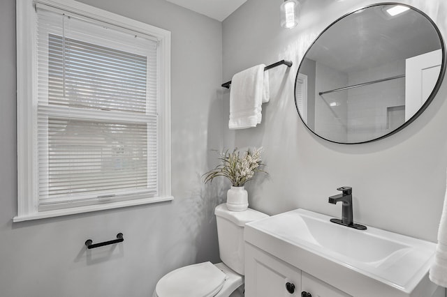 bathroom with toilet and vanity