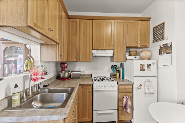 kitchen featuring under cabinet range hood, light countertops, brown cabinets, white appliances, and a sink