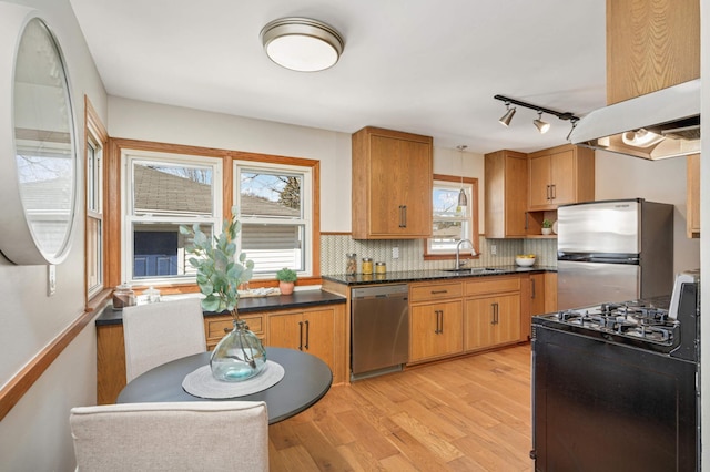 kitchen with light wood finished floors, stainless steel appliances, dark countertops, and a sink