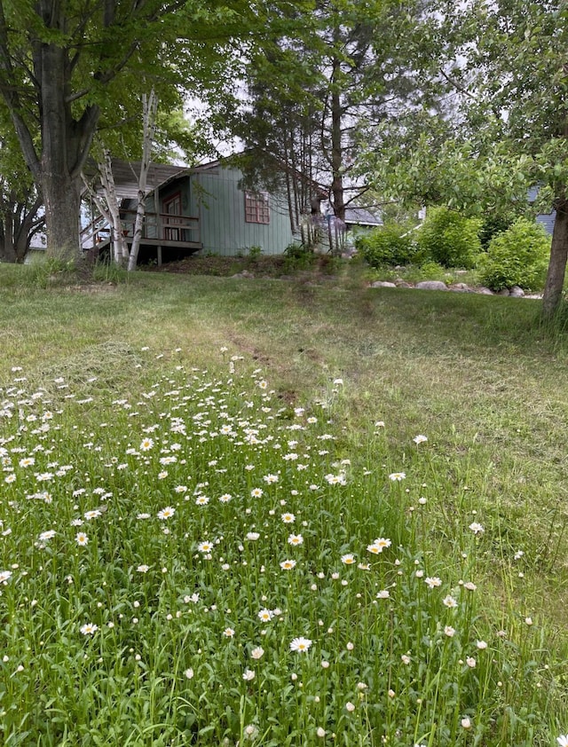 view of yard featuring a wooden deck