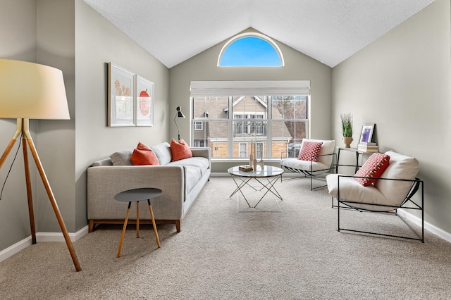 living area featuring a textured ceiling, baseboards, lofted ceiling, and carpet