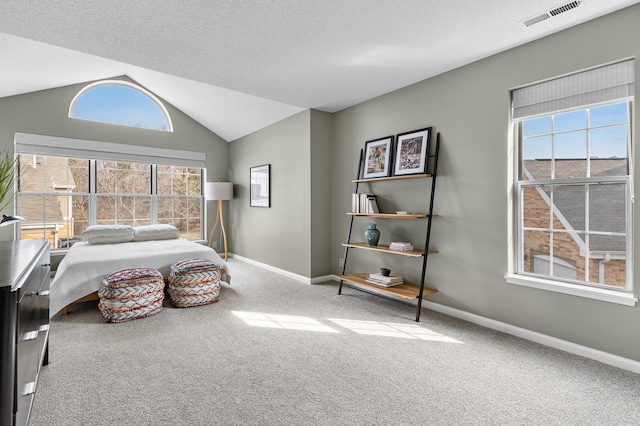 carpeted bedroom with vaulted ceiling, baseboards, visible vents, and a textured ceiling