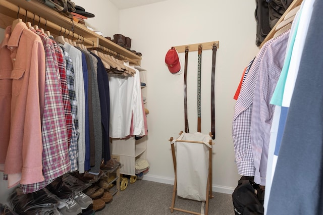 walk in closet with carpet