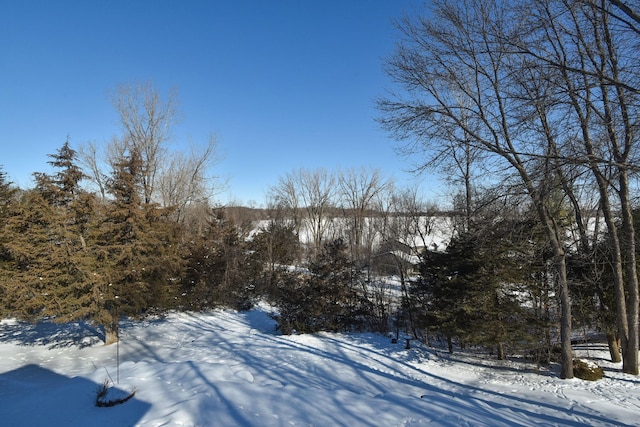 view of snowy yard