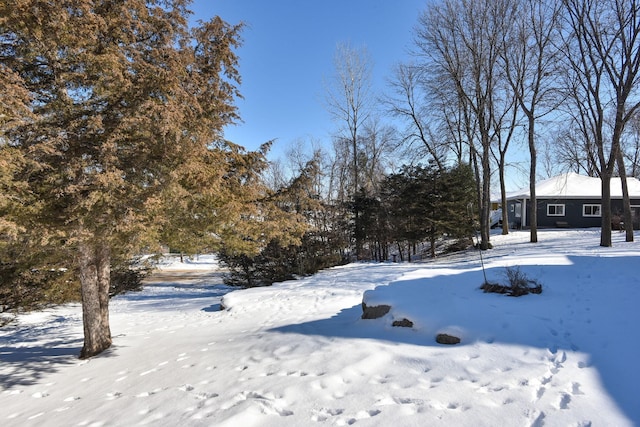 view of yard layered in snow