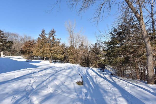 view of yard layered in snow