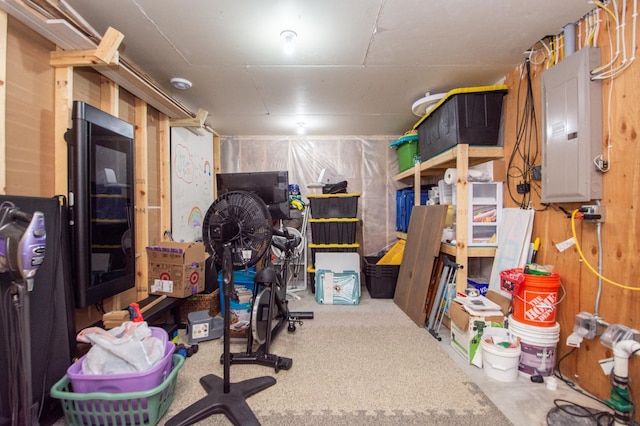 storage room featuring electric panel