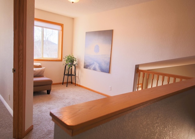 living area featuring carpet flooring and baseboards