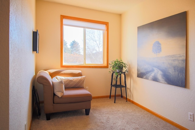 living area with carpet flooring and baseboards