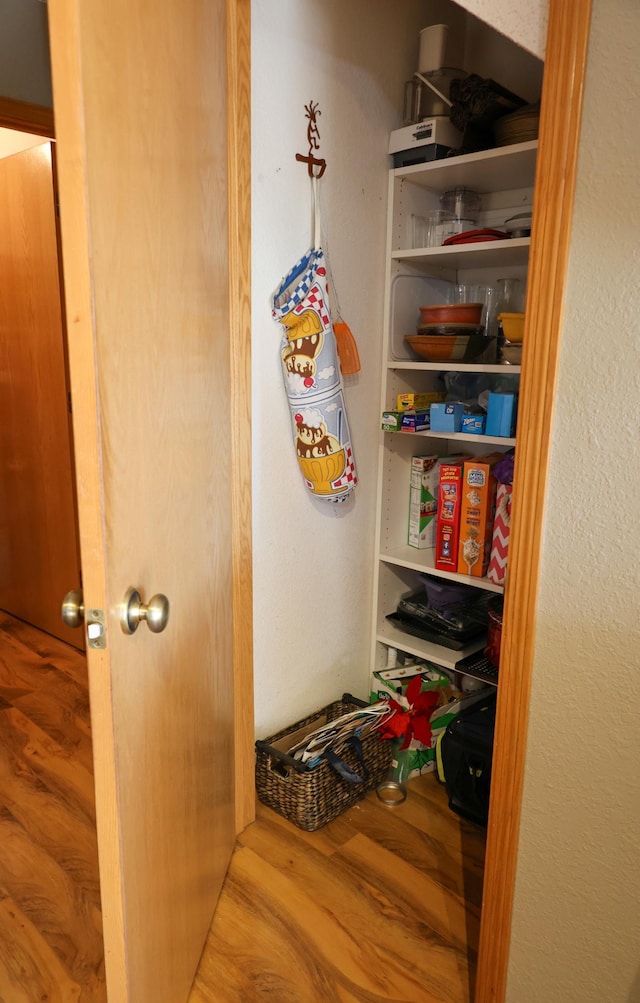 view of pantry