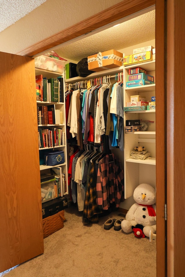 spacious closet featuring carpet floors