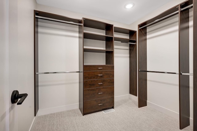 spacious closet with light colored carpet