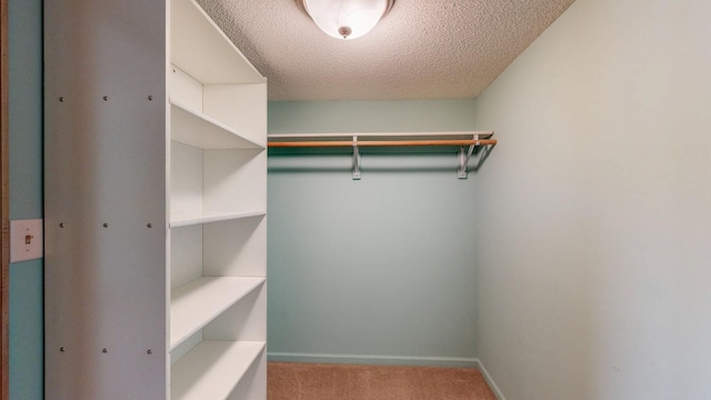 spacious closet featuring carpet floors