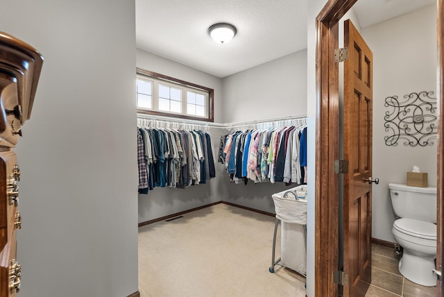 view of spacious closet