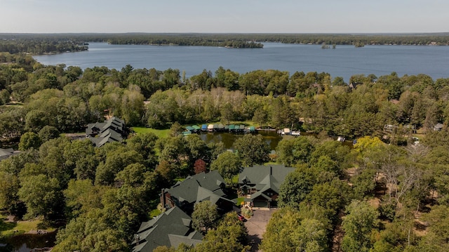 bird's eye view with a water view and a wooded view