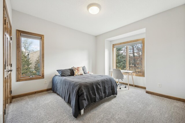 bedroom with baseboards and carpet flooring