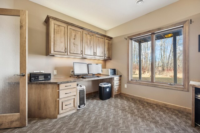 10314 Xylite St NE, Blaine, MN 55449 - photo 45