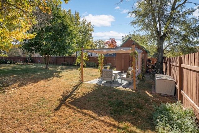 view of yard featuring a patio area, a fenced backyard, a storage unit, and an outdoor structure