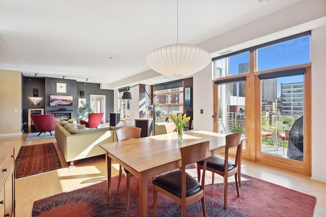 dining area featuring baseboards, track lighting, and a glass covered fireplace