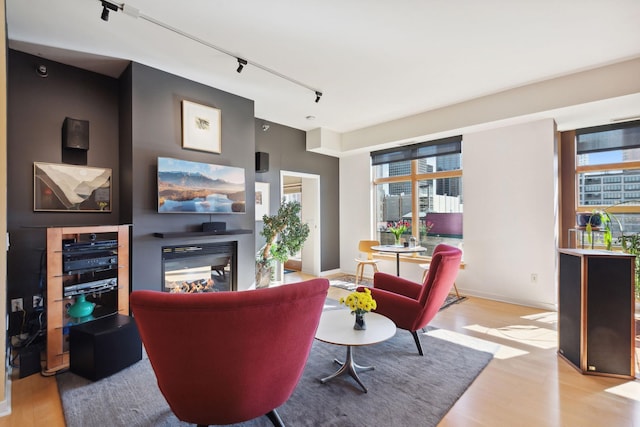 living area featuring wood finished floors and rail lighting